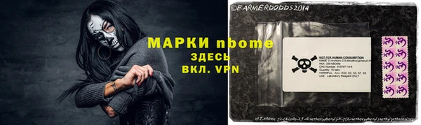 сатива Зерноград