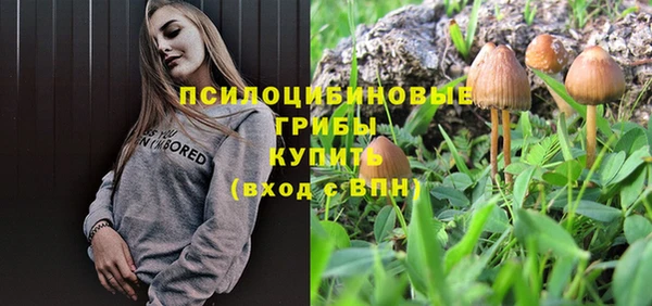 молекула духа Зеленокумск