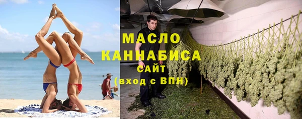 сатива Зерноград