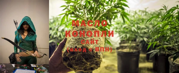 твердый Зеленодольск