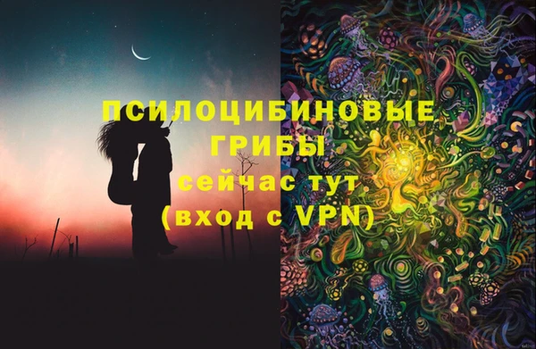 сатива Зерноград