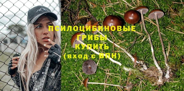 сатива Зерноград