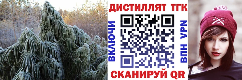 ТГК гашишное масло  Купить закладки  Высоцк 
