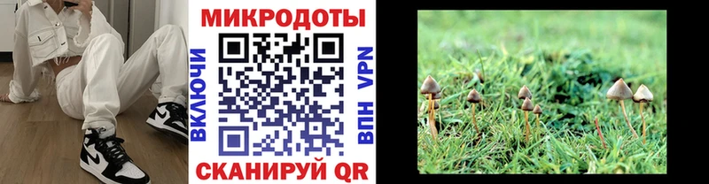 Купить закладки  Высоцк  Псилоцибиновые грибы Cubensis 