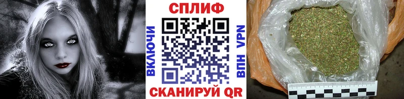 Бошки марихуана AK-47  Купить закладки  Высоцк 